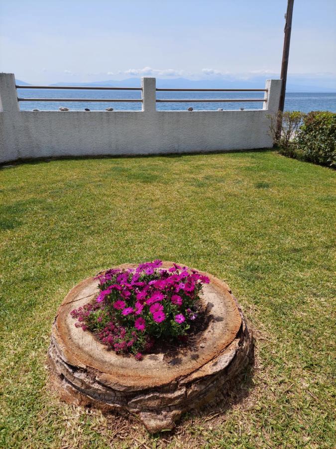 Platanidia Apartment Pelion Exterior photo